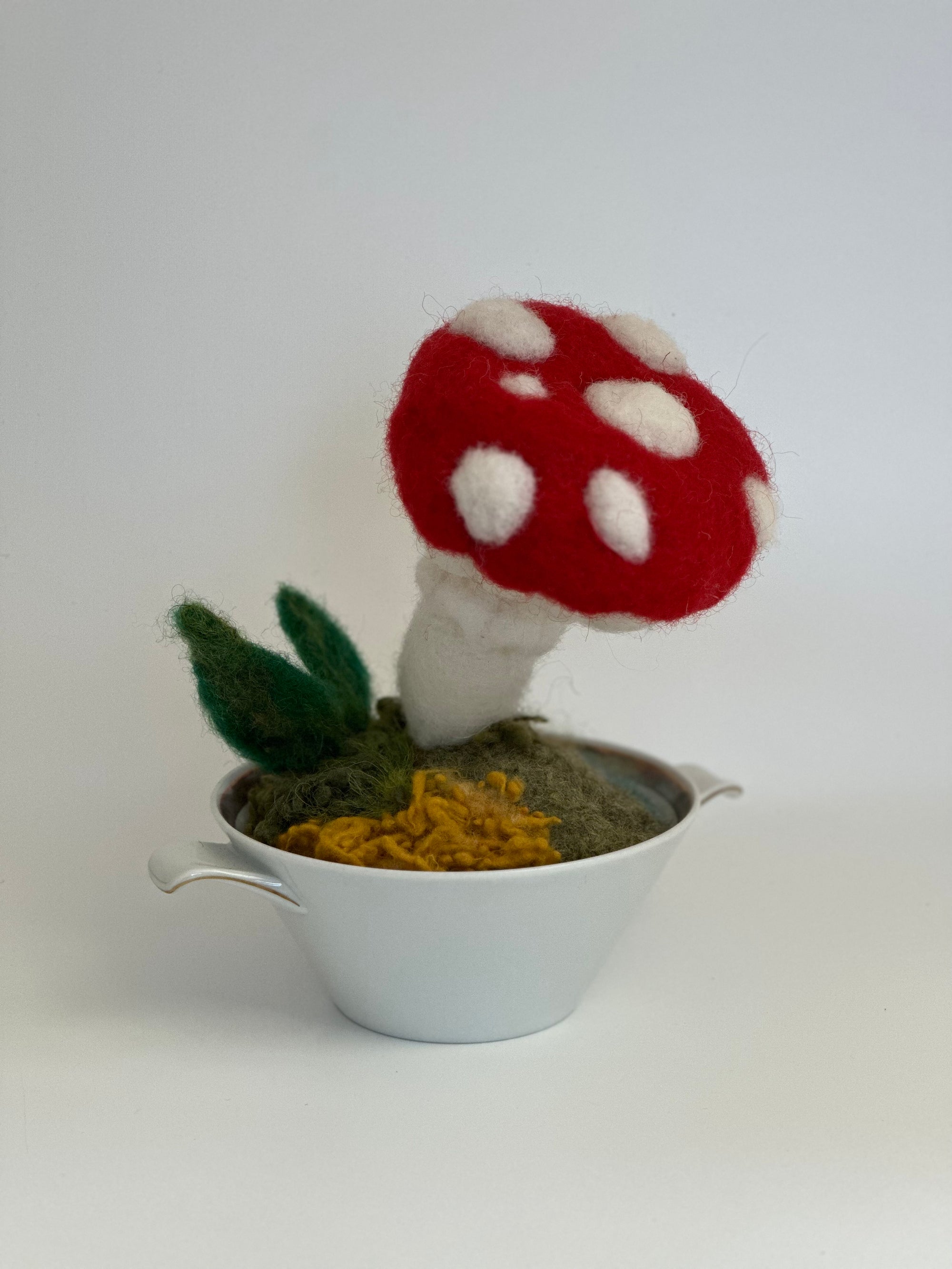 NEW!!! Visit the Woolly Wonderland Community