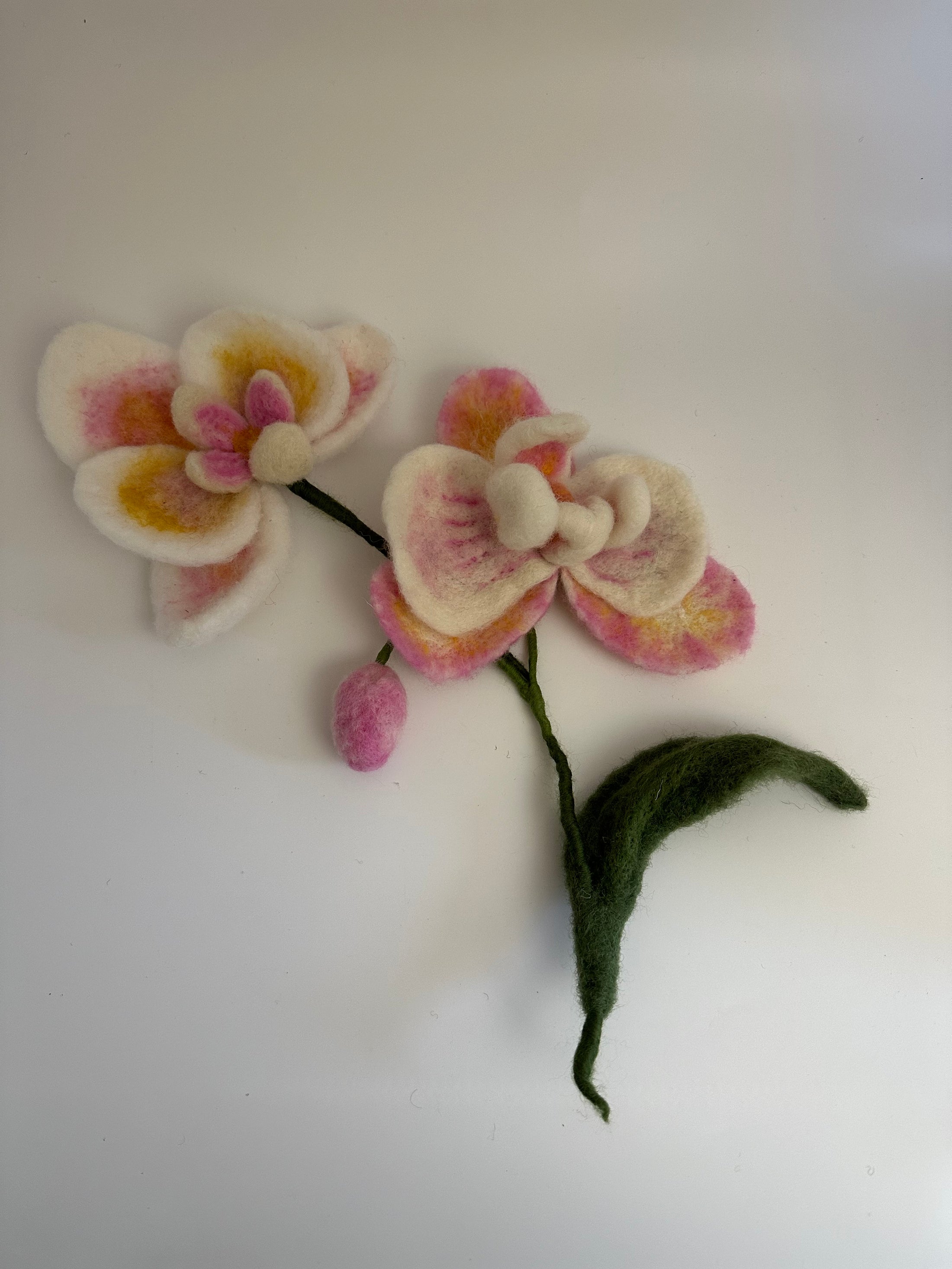 Needle-felting Class - Orchid Flower