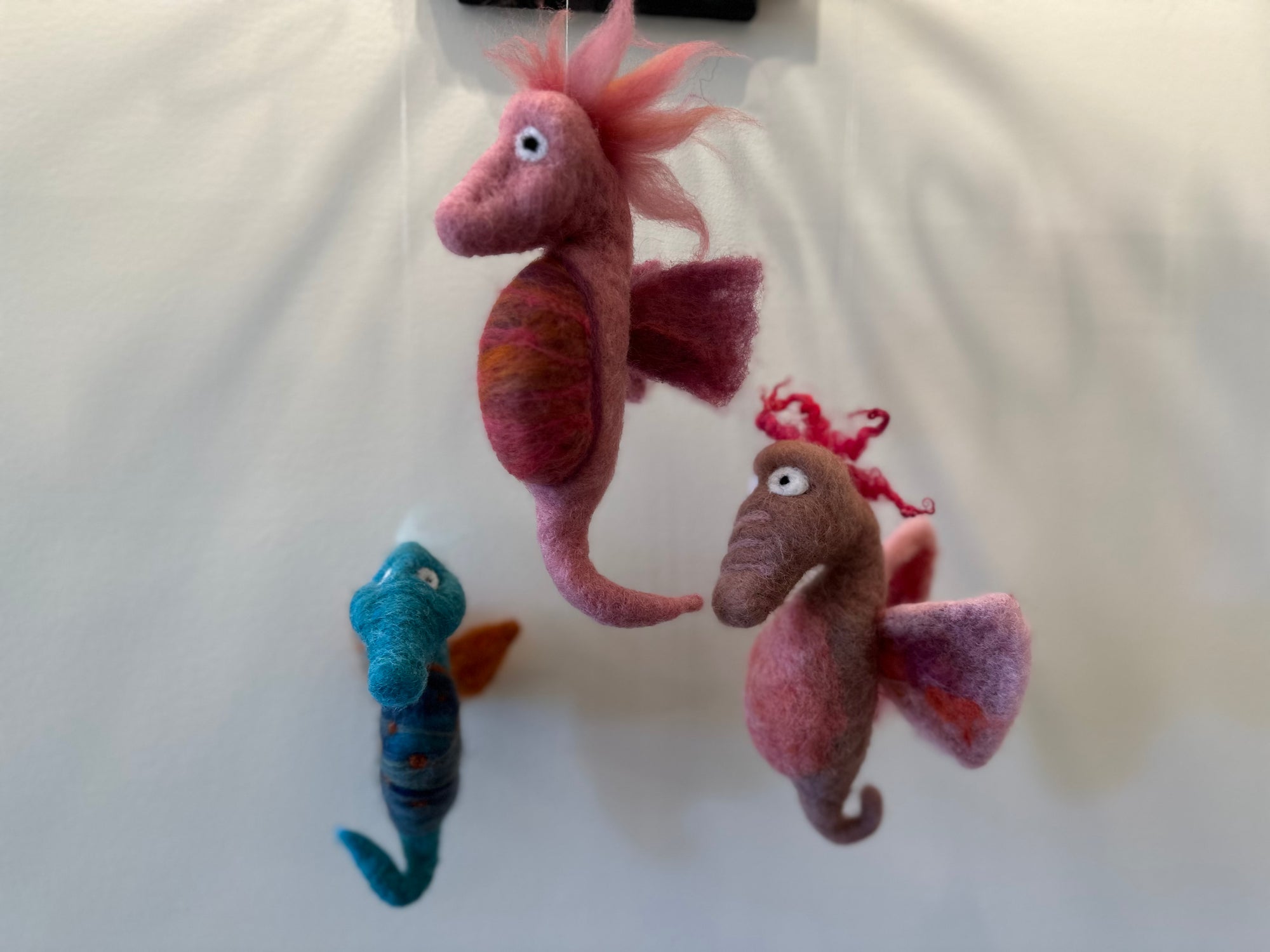 The Seahorse Kit
