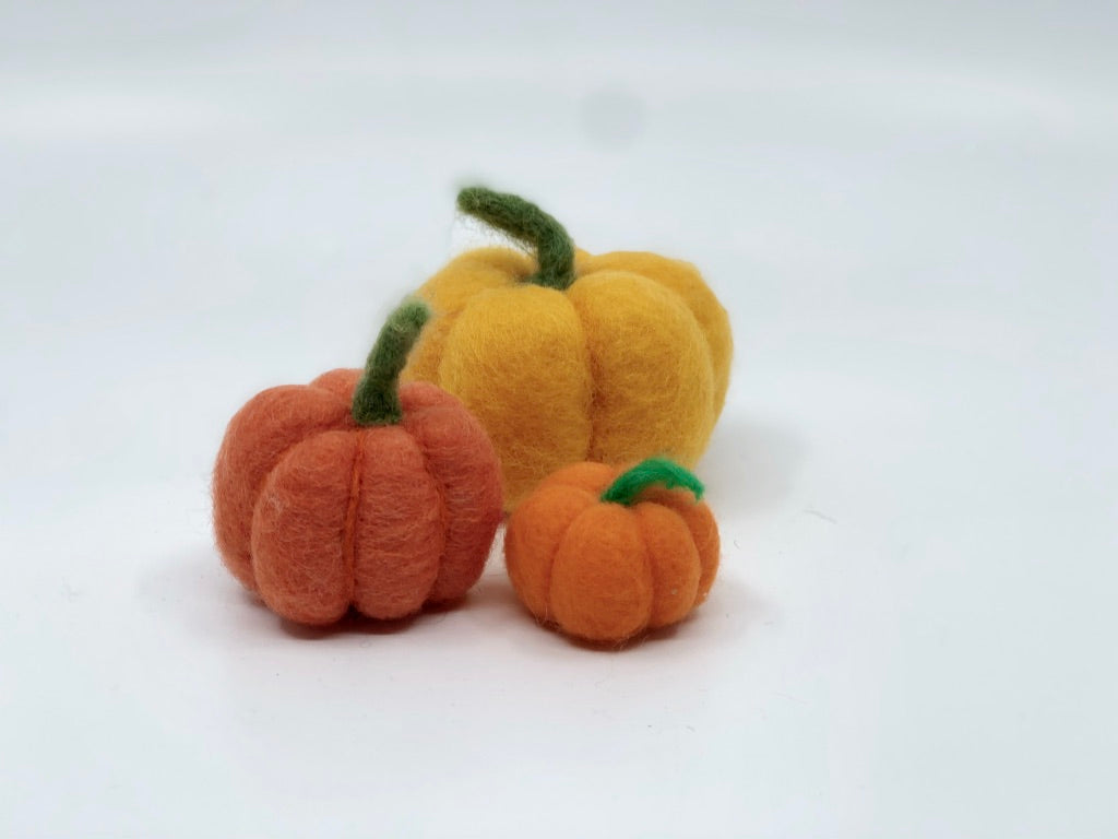 FALL PUMPKIN KIT