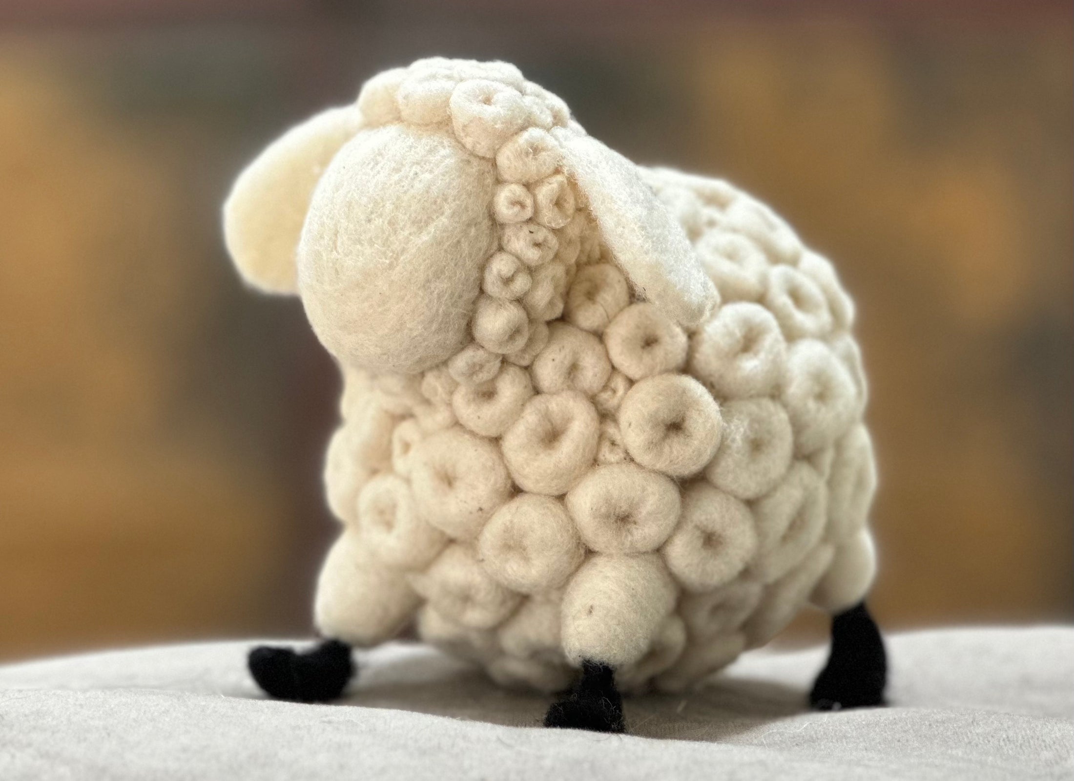 Baaa-bara the Sheep by Annette