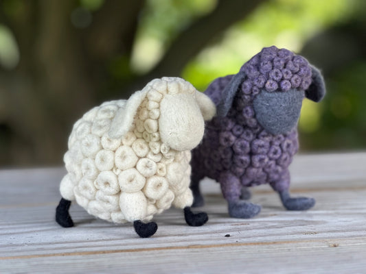Baaa-bara the Sheep by Annette