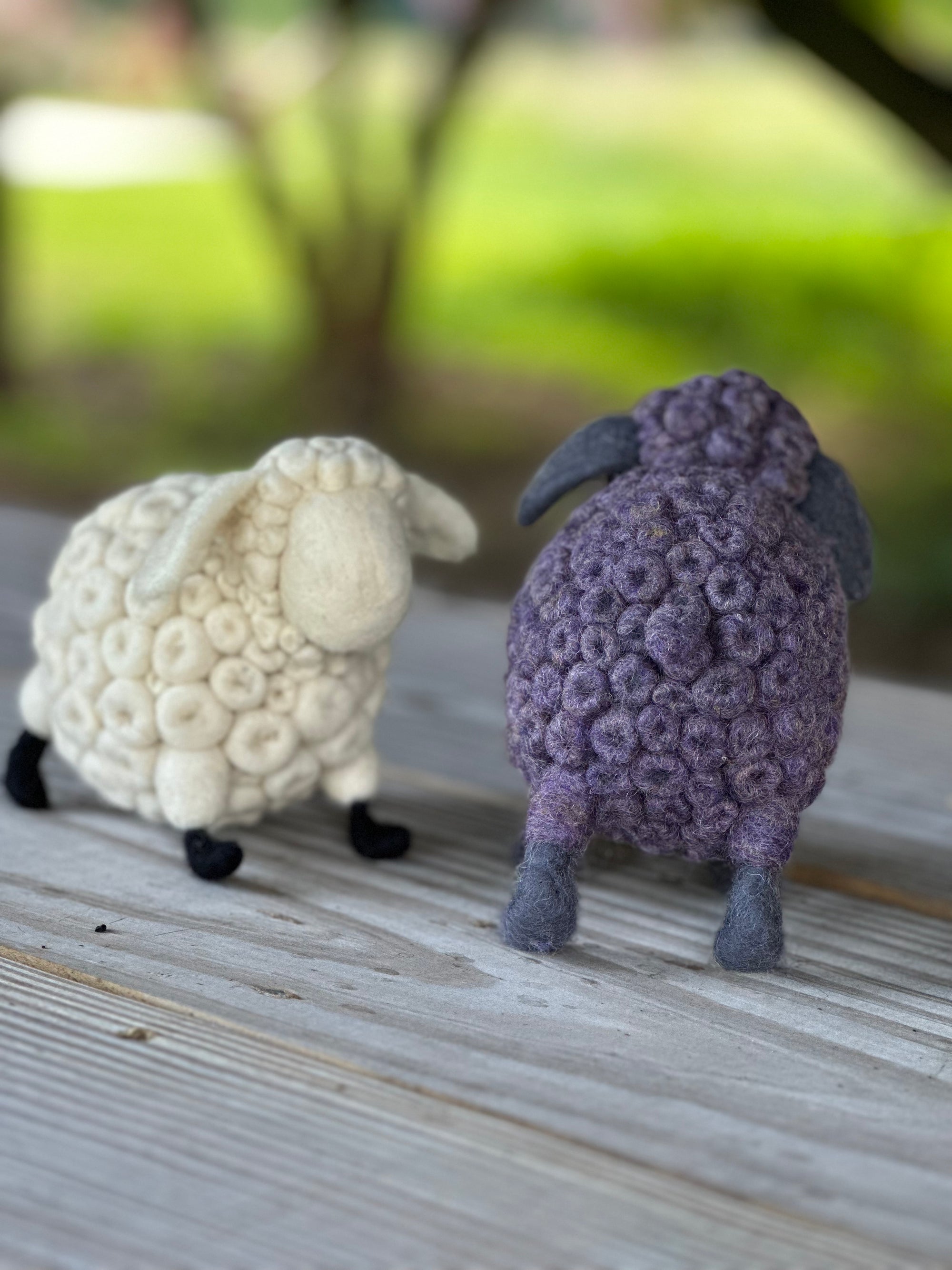 Baaa-bara the Sheep by Annette