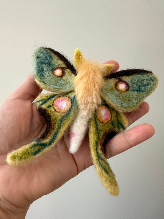 Luna Moth Ball Ornament Kit