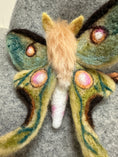 Load image into Gallery viewer, Luna Moth Ball Ornament Kit
