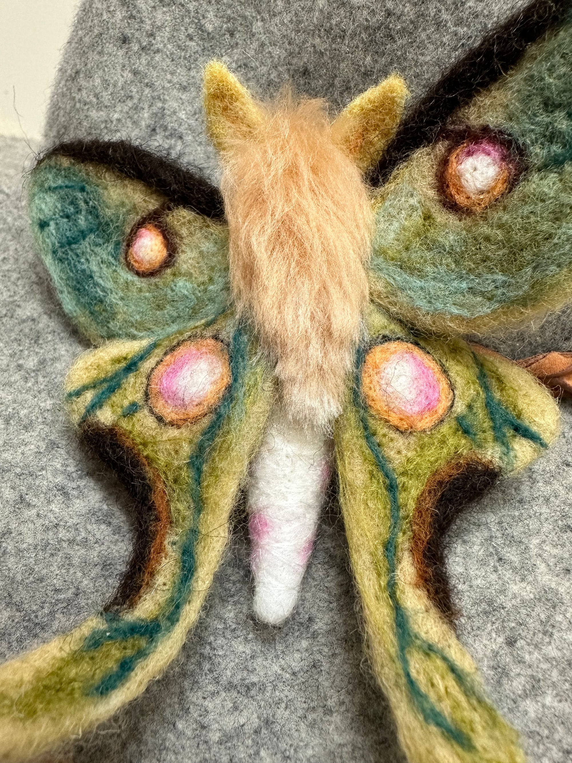 Luna Moth Ball Ornament Kit