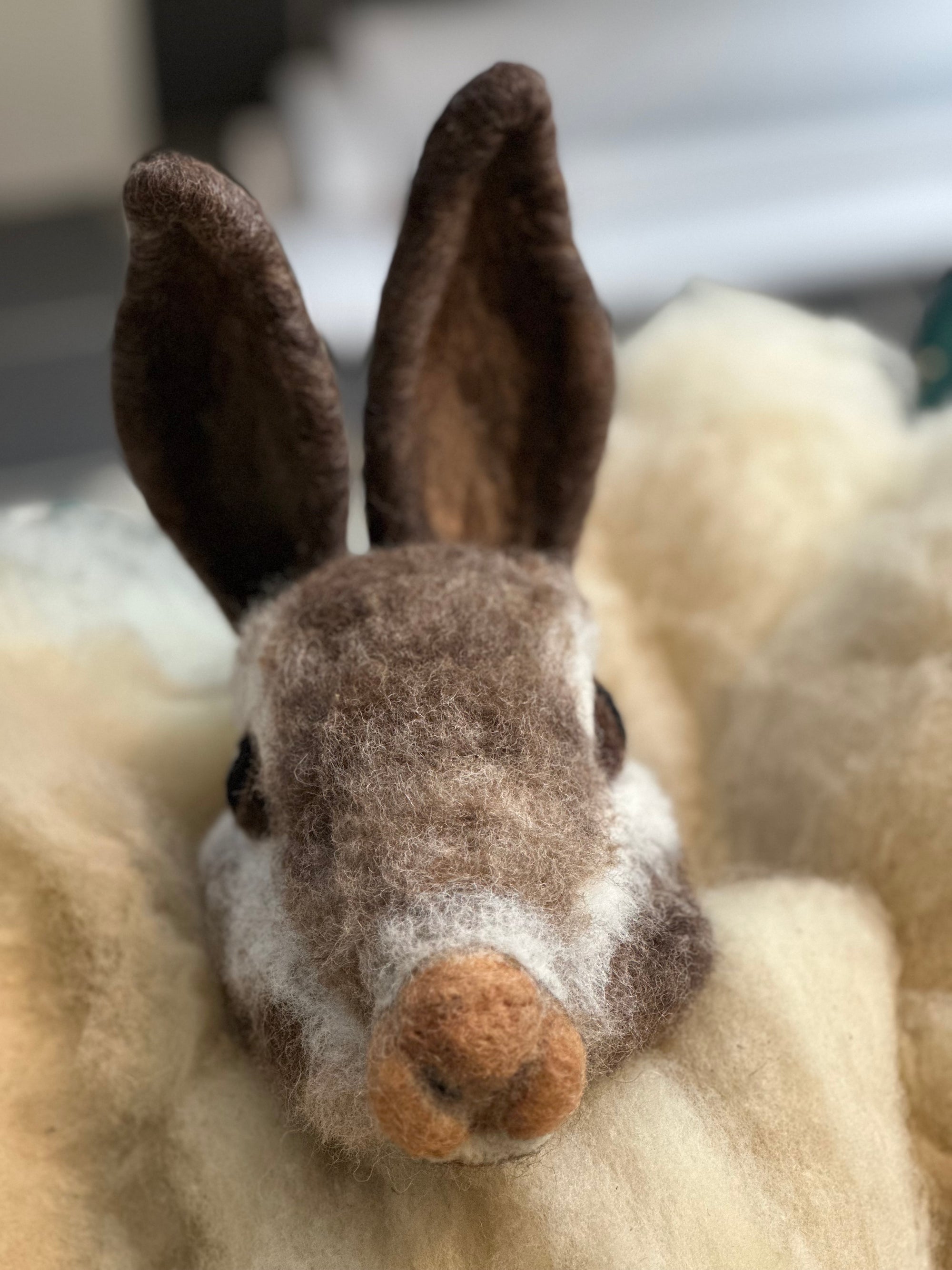 needle felted rabbit  trophy head, available in class and kit