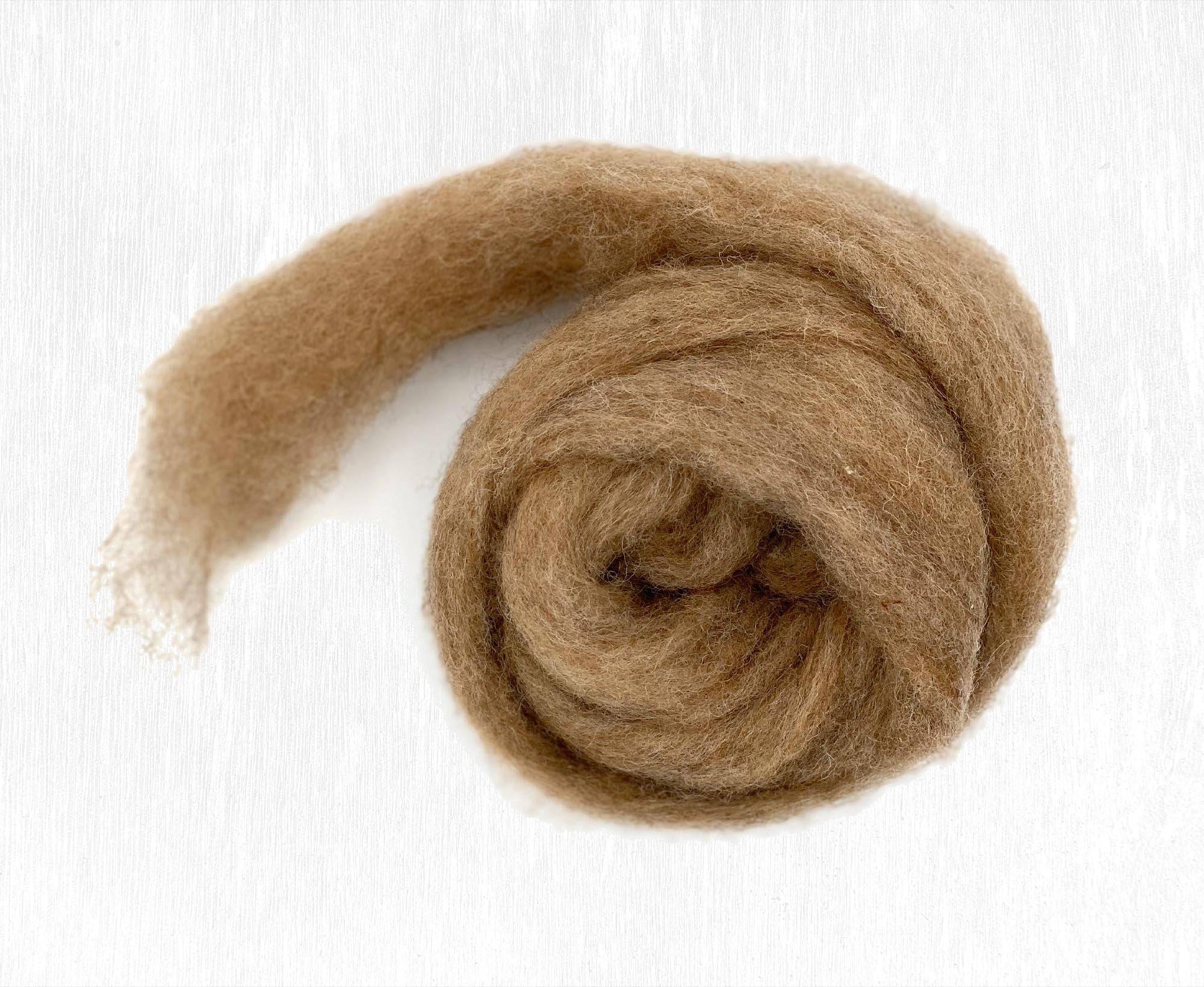 World of Wool roving, mouse