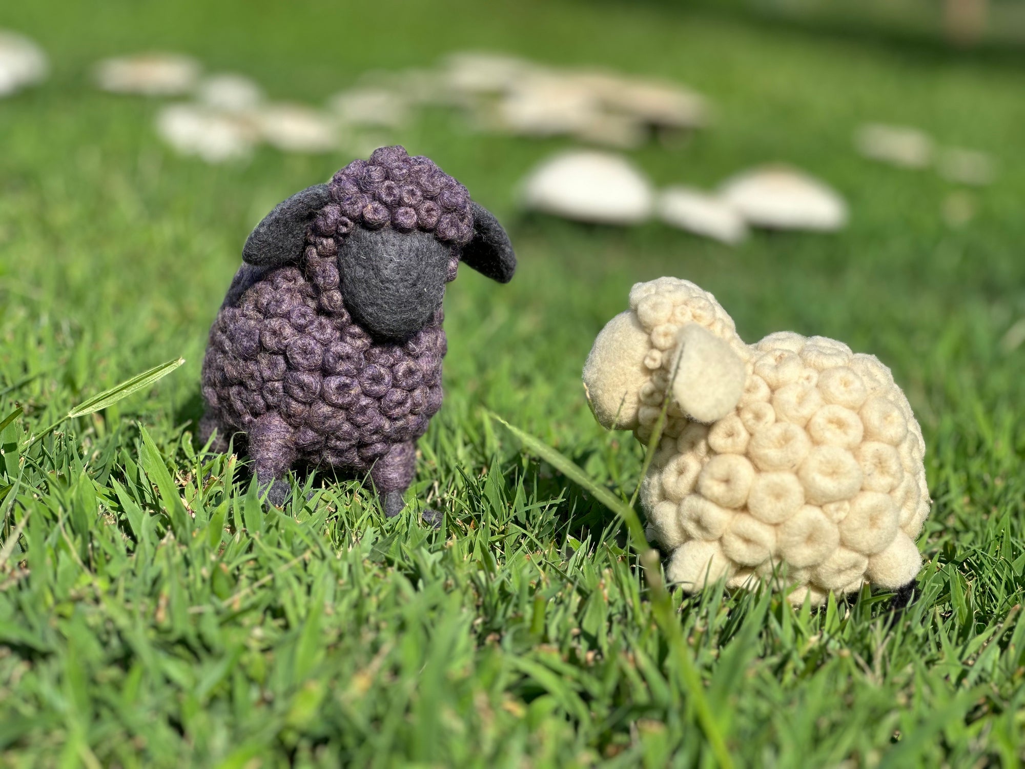 Baaa-bara the sheep KIT