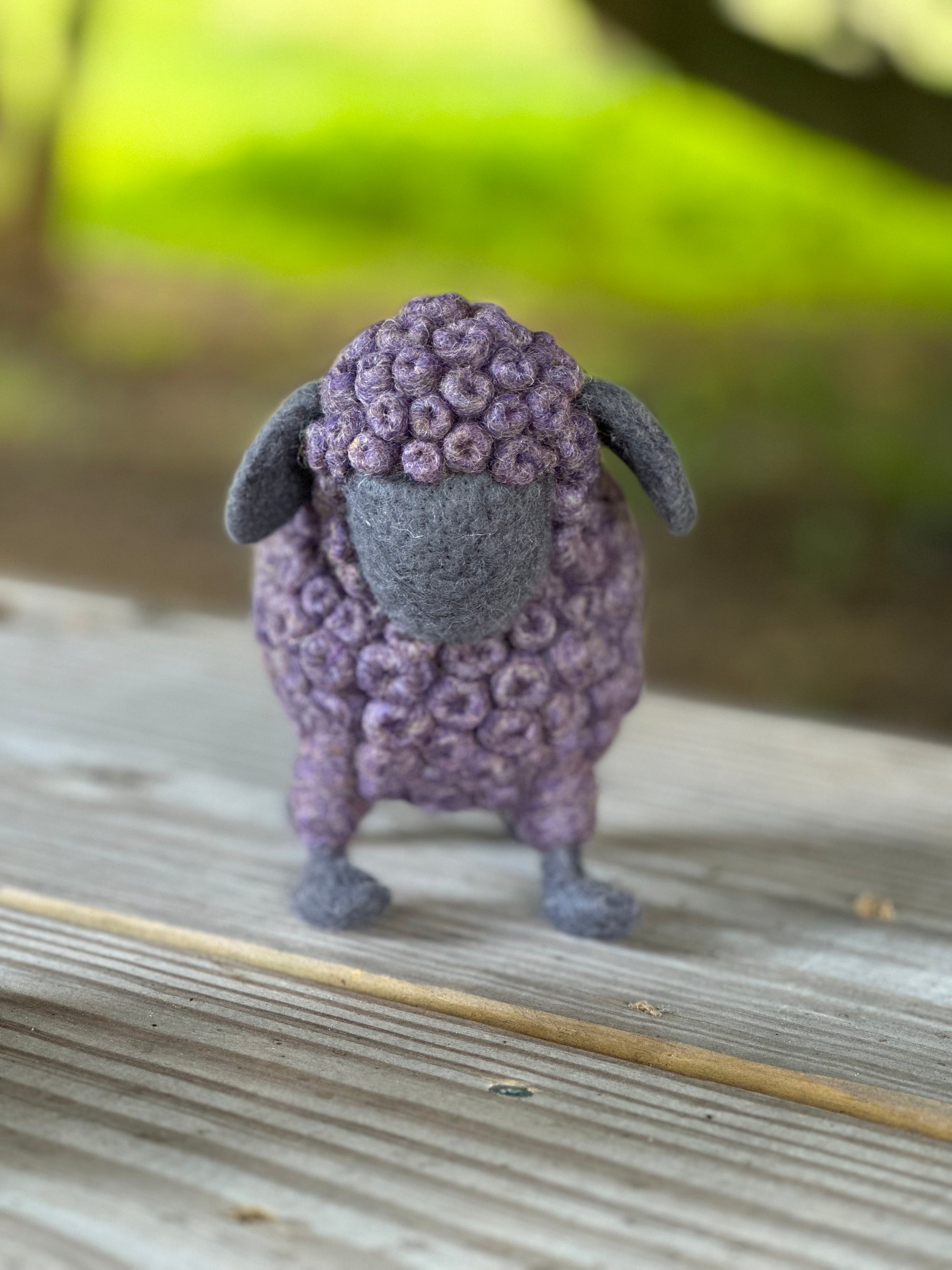 Baaa-bara the sheep KIT