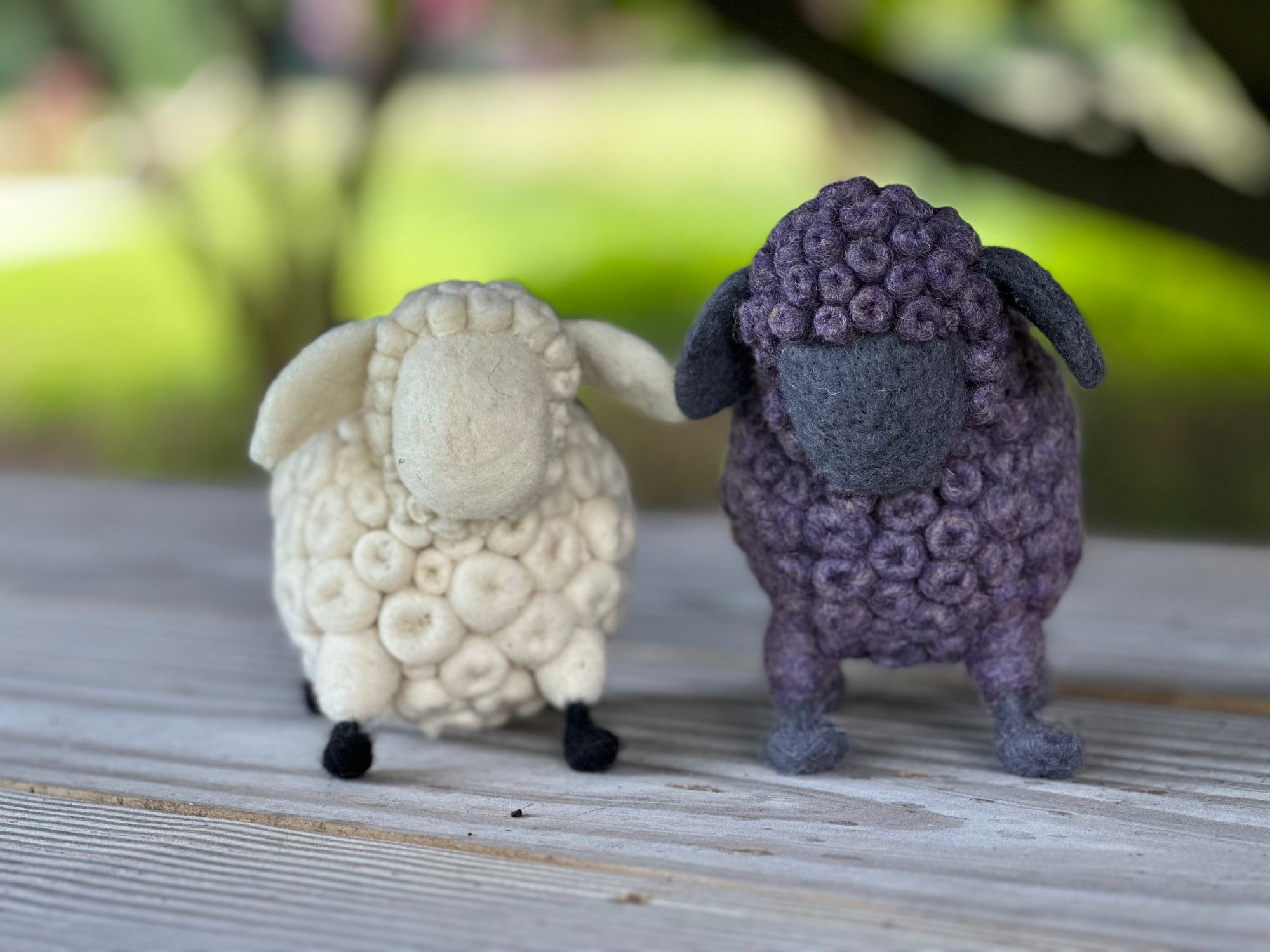 Baaa-bara the sheep KIT