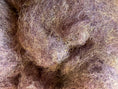 Load image into Gallery viewer, Baaa-bara the sheep KIT
