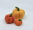Load image into Gallery viewer, October - Pumpkins
